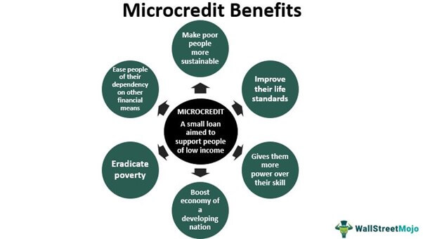 micro credit business plan