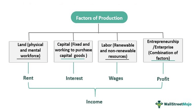 4 Factors of Production Explained With Examples