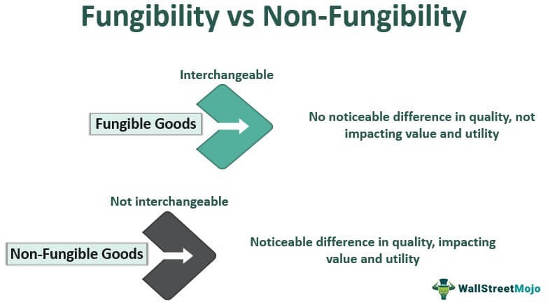 Fungibility vs Non Fungibility