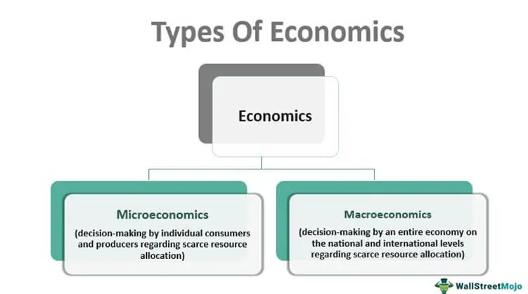 Types of Economics