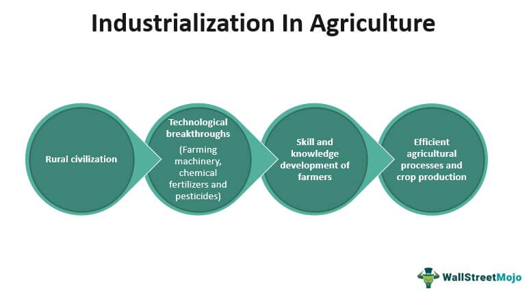 Agriculture Industrialization
