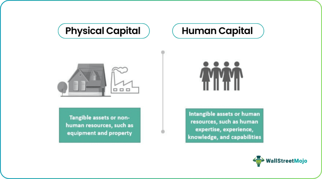 Human Capital vs Physical Capital