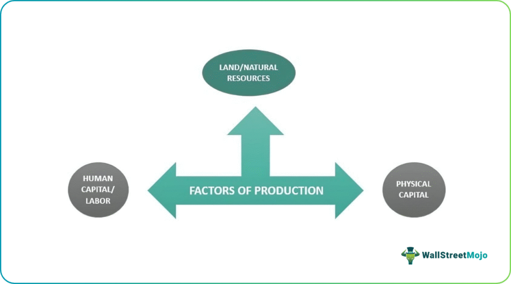 Physical Capital As A Factor Of Production