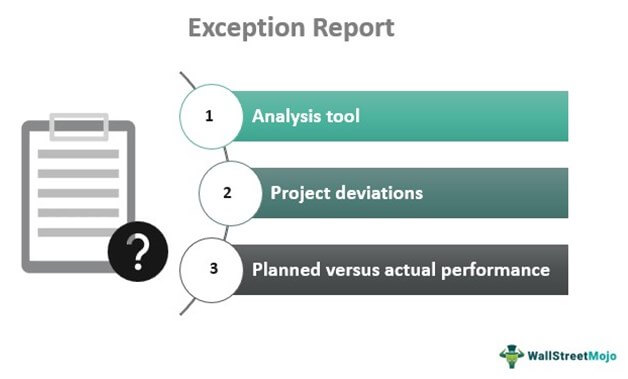 meaning of report by exception