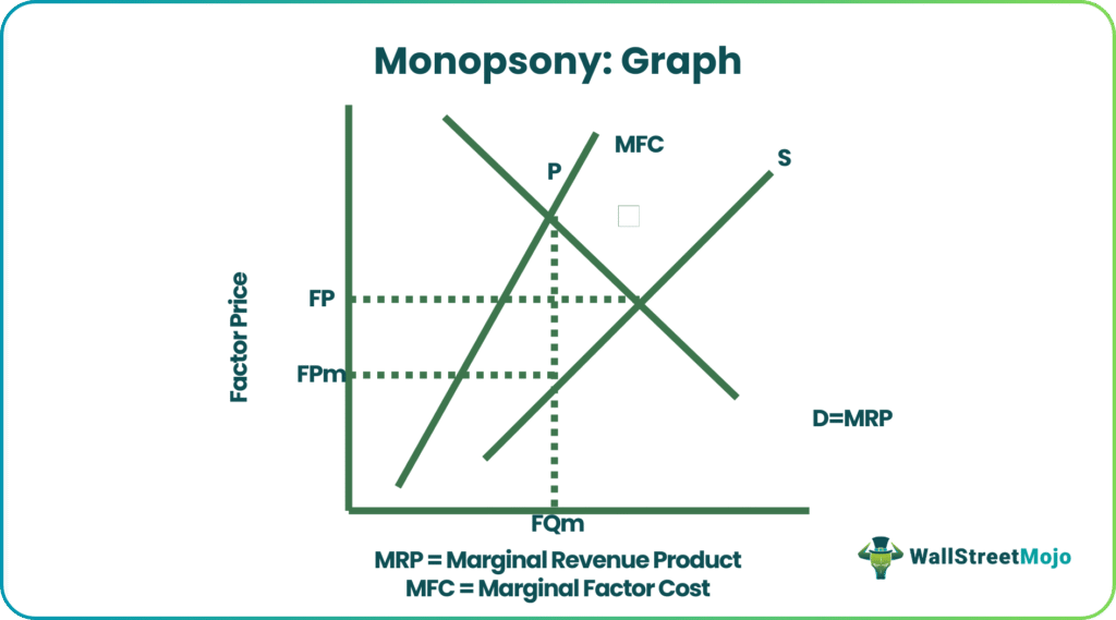 Monopsony Graph