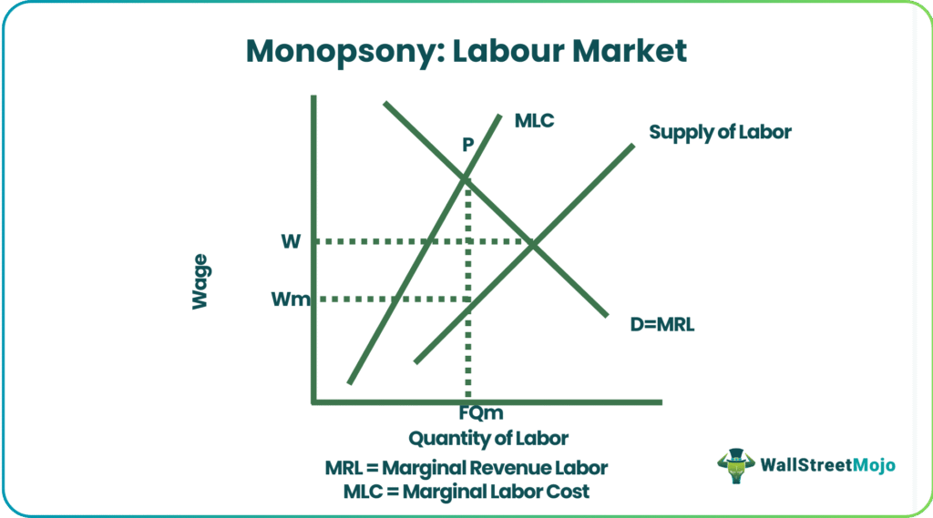 Monopsony Labor Market