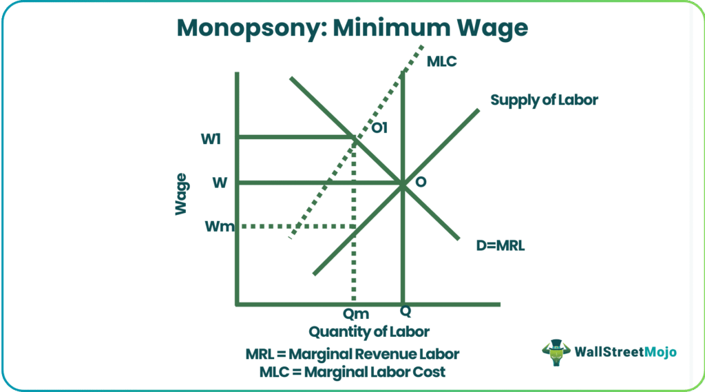 Monopsony minimum wage