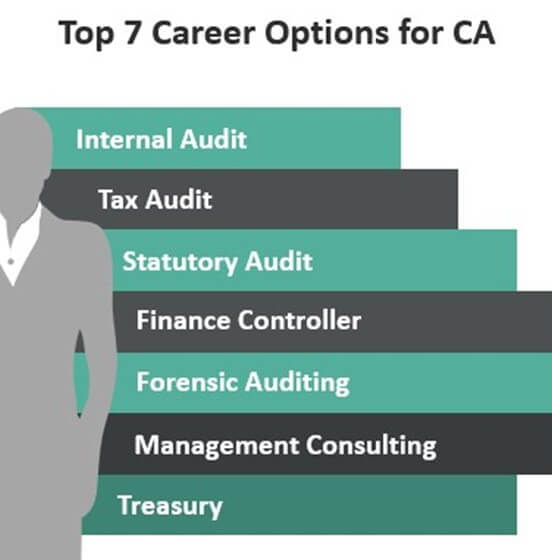 acuut Psychiatrie Op risico Top 7 Career Options for Chartered Accountants (CA)