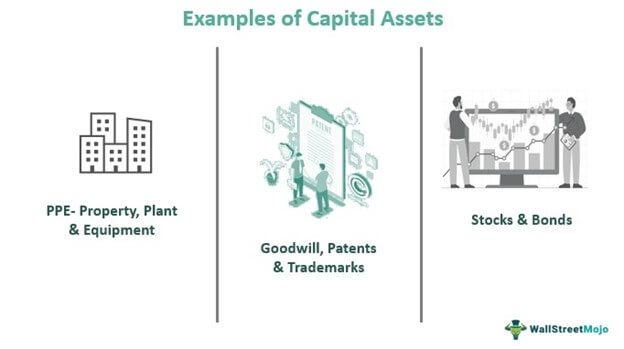 Example of Capital Assets