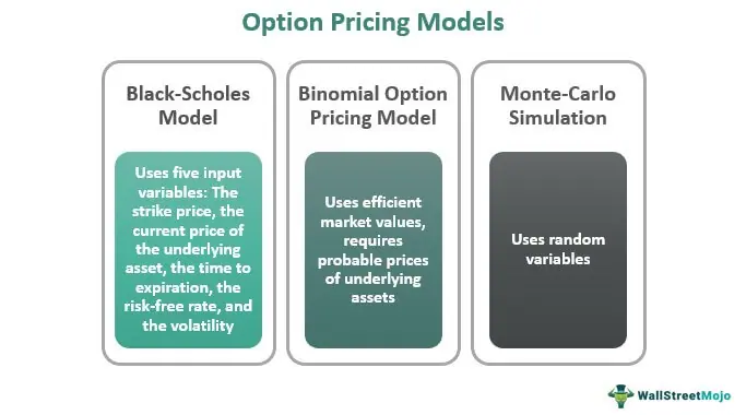 Option Pricing Models