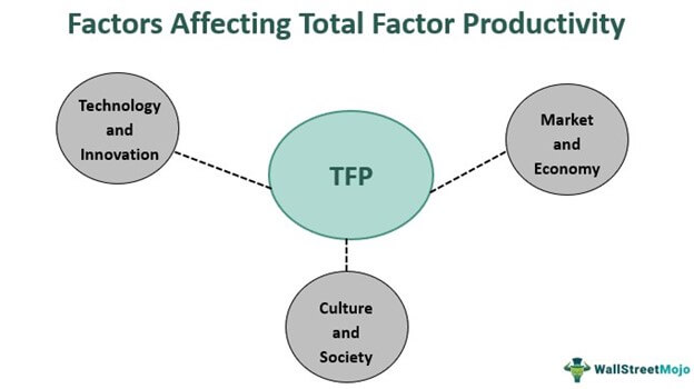 Factor Affecting Total Factor Productivity