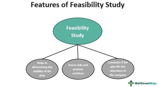 Feasibility Study Features