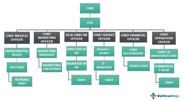 Organizational Structure Examples