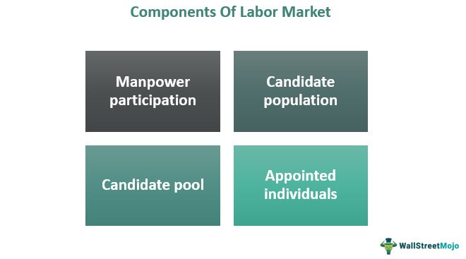 Labor Market Components