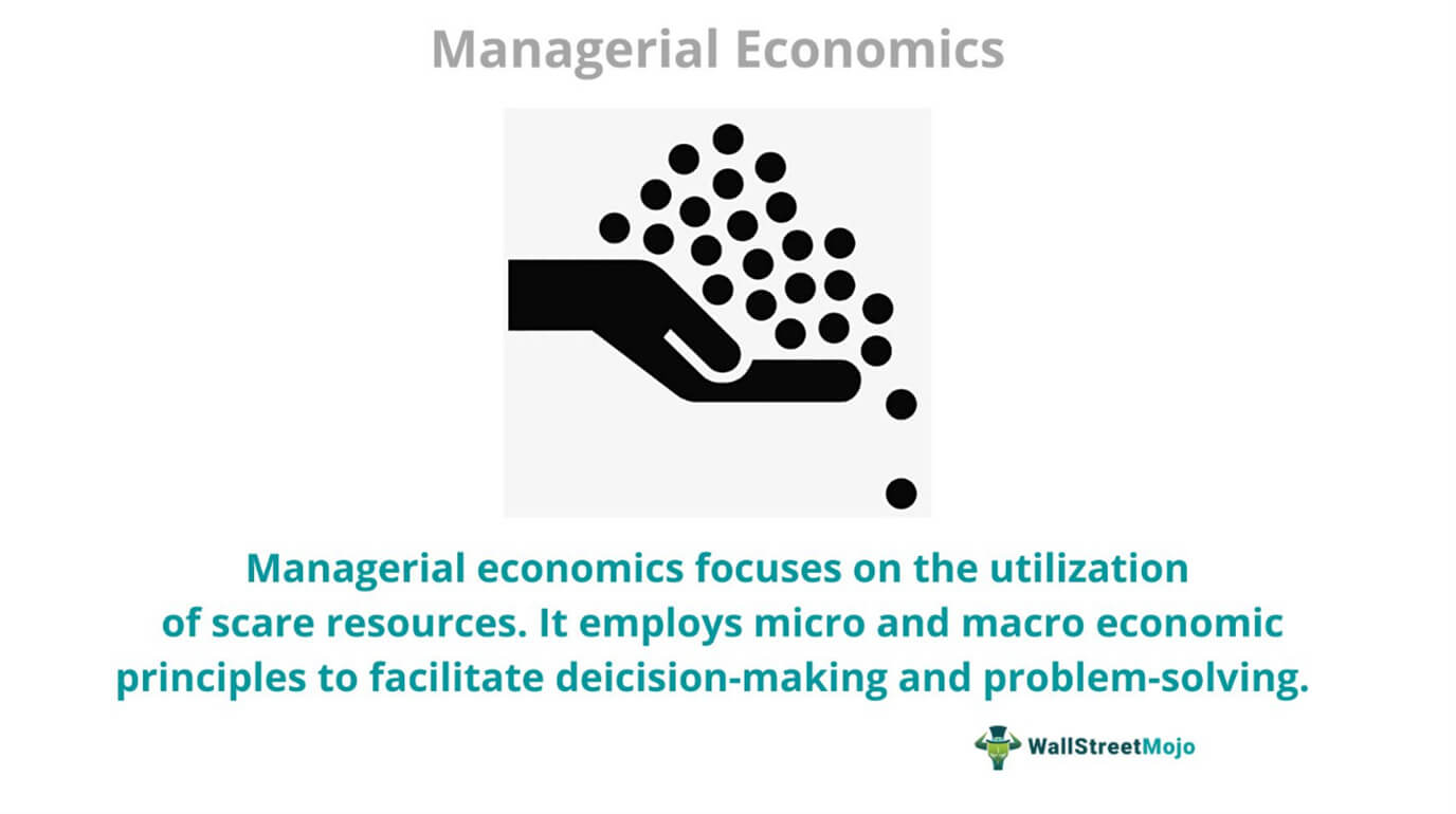 application of economics in managerial decision making