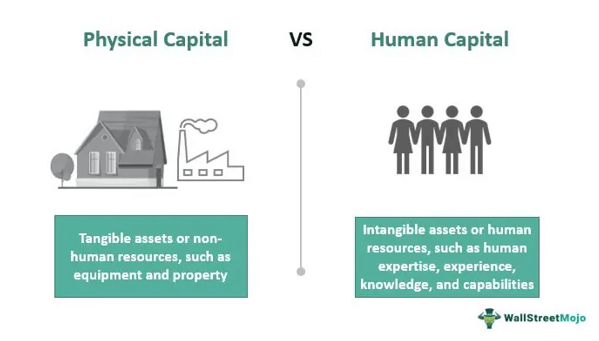 Physical vs Human Capital