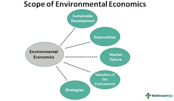 Environmental Economics - Definition, Scope, Importance, Strategy