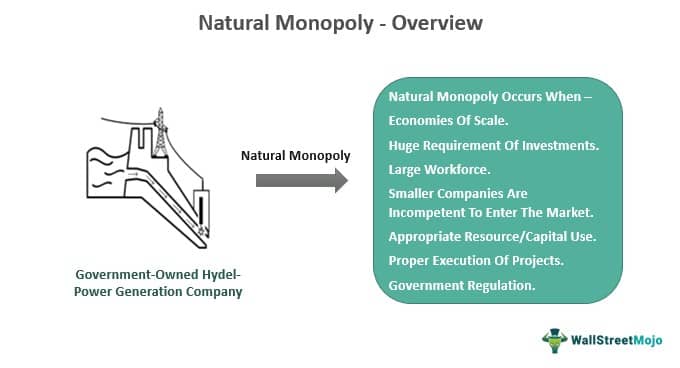 Monopoly - What Is Monopoly? Definition, Types, Uses