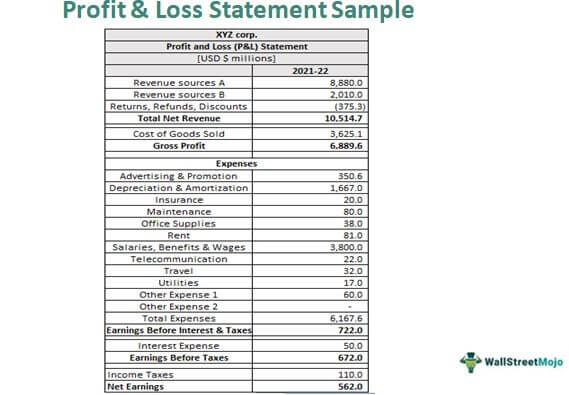 Profit & loss statement Sample
