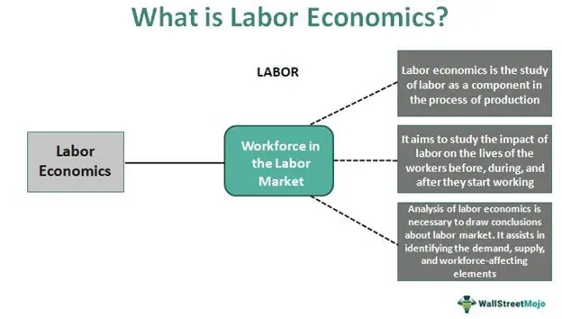 Labour economics - Wikipedia