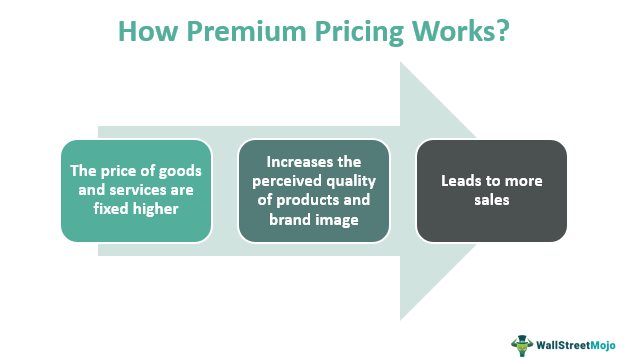 Premium  meaning of Premium 