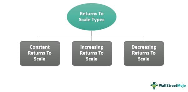 Returns to Scale types