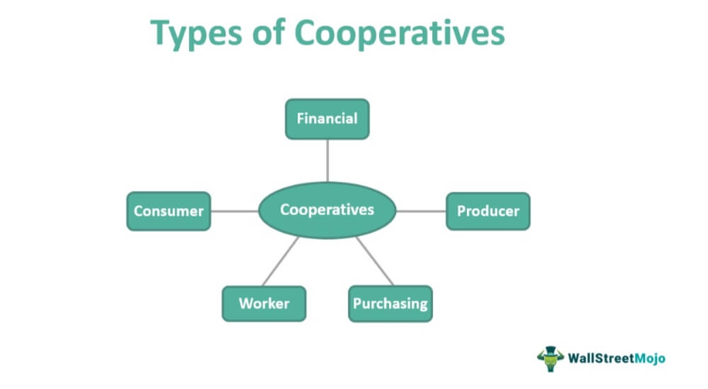 Types of Co-operatives
