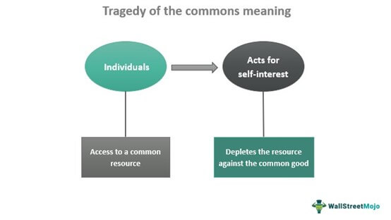 Tragedy of the commons meaning