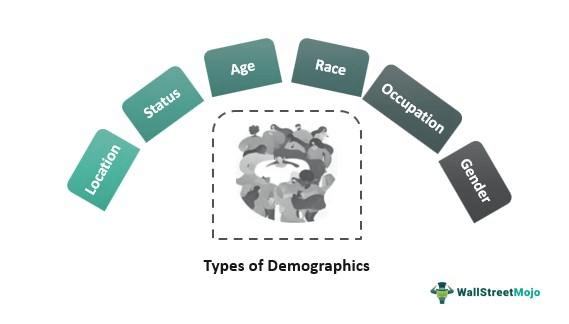 Types Of Demographics