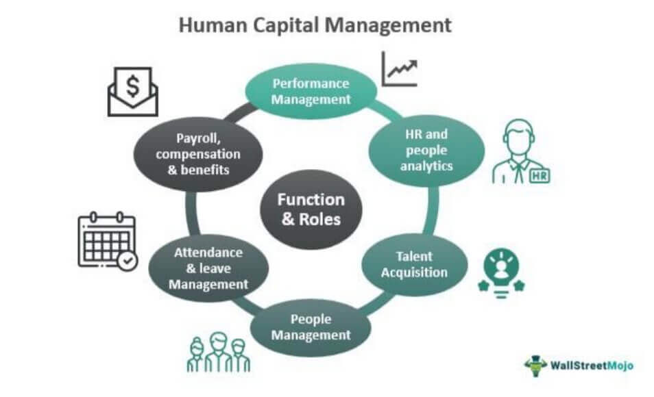 Human Capital Management Function & Roles