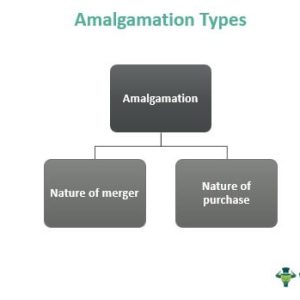 Amalgamation - Meaning, Types, Objectives, Examples, Process