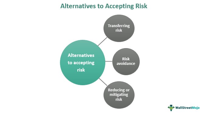 Alternatives to Accepting Risk