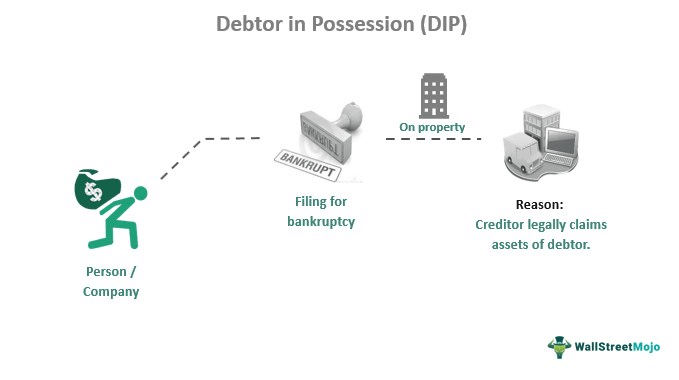 Debtor In Possession