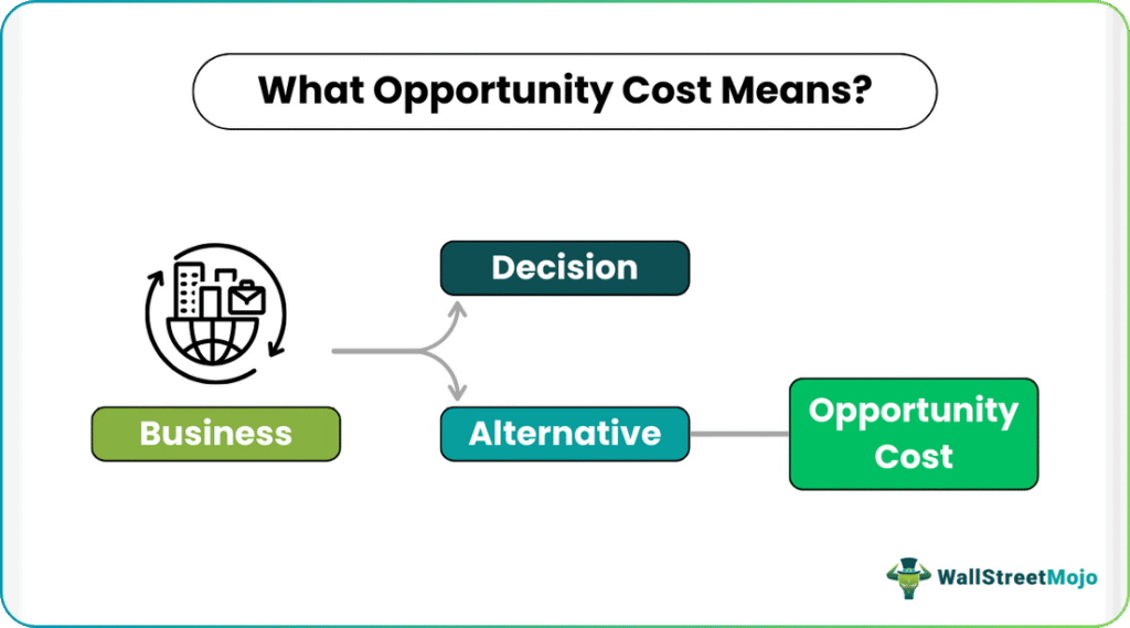 Opportunity Cost