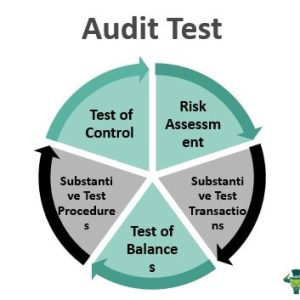 Audit Test - 5 Types, Vs Substantive Audit Procedure