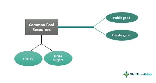 Understanding water markets: Public vs. private goods