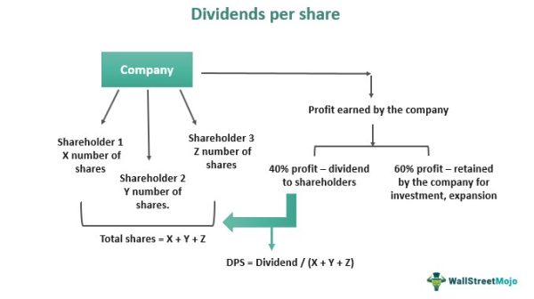 Key Takeaways for Investors