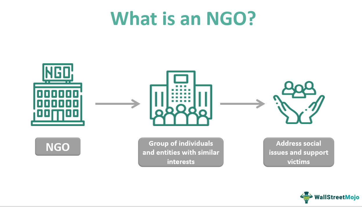 What is an NGO?