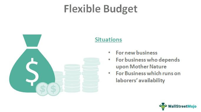 Flexible Budget Situations