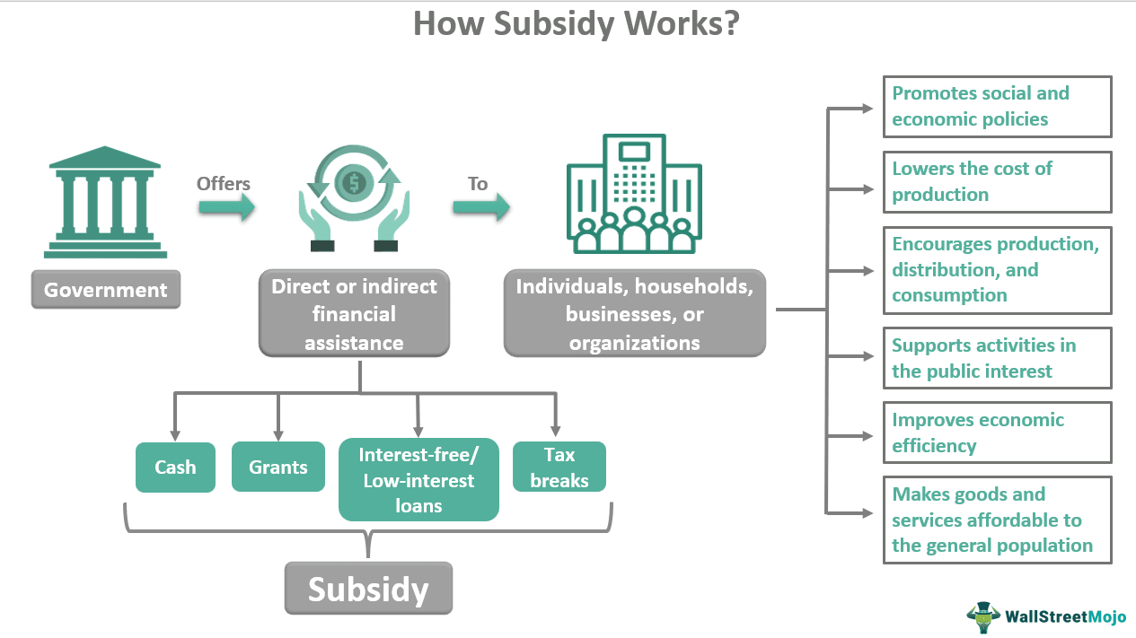 How Subsidy Works?