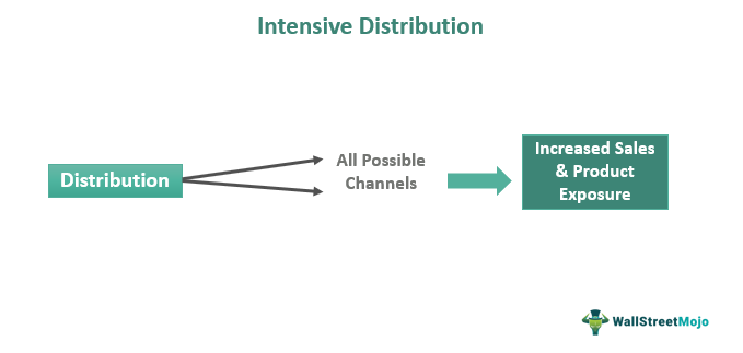 intensive distribution business plan