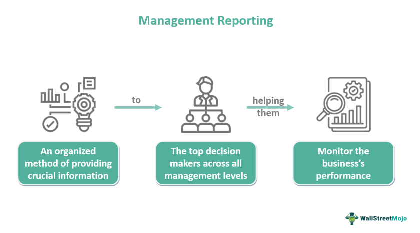 reporting the management