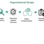 Organizational Design - What Is It, Principles, Steps, Examples