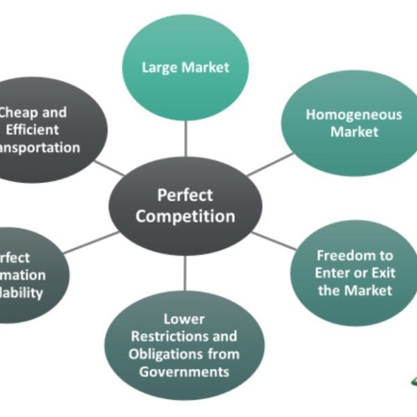 Perfect Competition - What Is It, Examples & Features