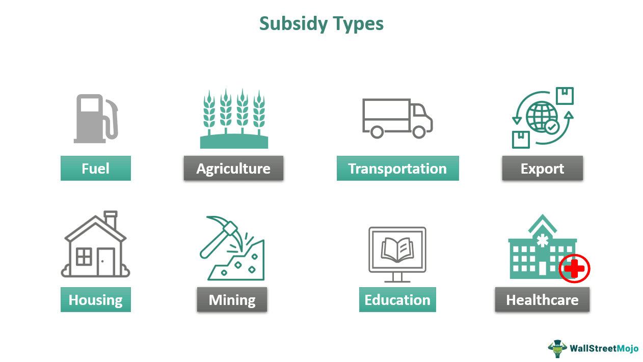 Subsidy Types