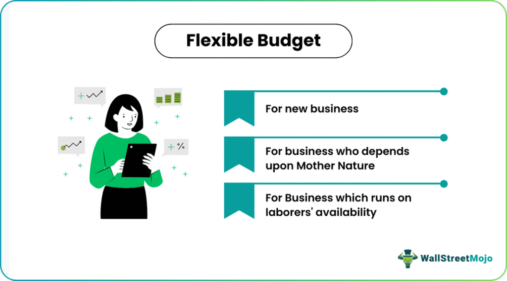 flexible budget Uses