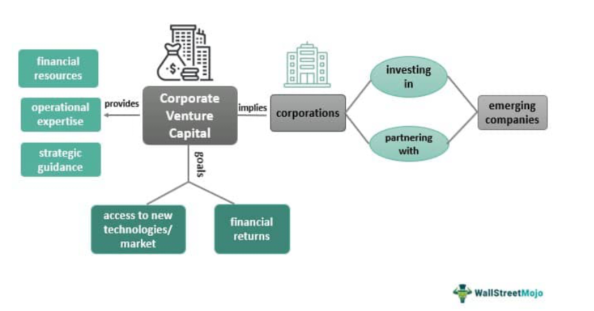 Corporate Venture Capital - What Is It, Examples, Advantages