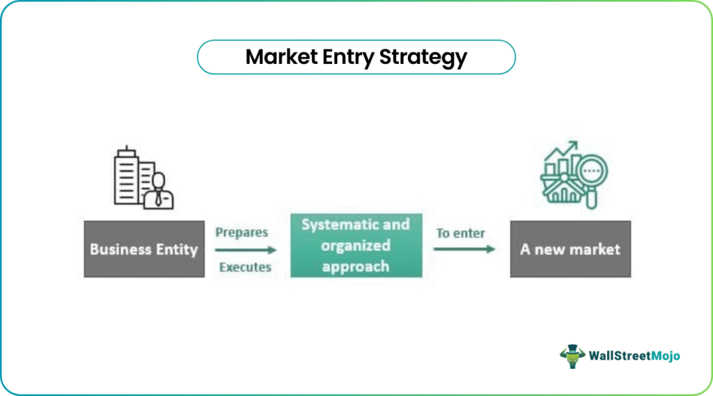 Market Entry Strategy