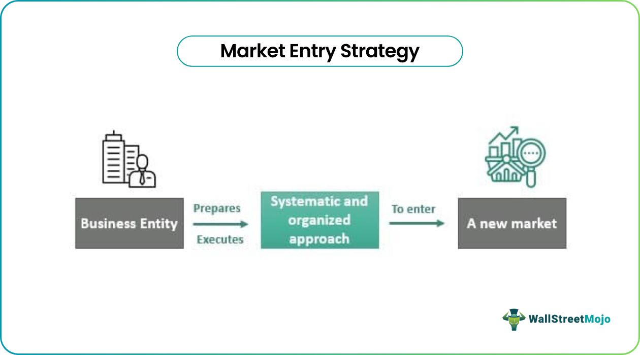 Market Entry Strategy - What Is It, Examples, Types, Advantages