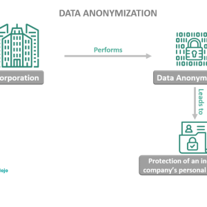 Data Anonymization - Meaning, Explained, Examples, Techniques